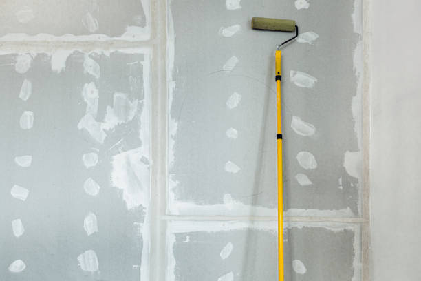 Best Post-Construction Mold Inspection  in Meadowbrook, VA