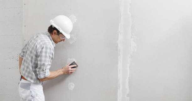 Best HVAC Mold Inspection and Cleaning  in Meadowbrook, VA
