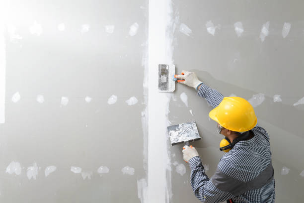 Best Mold Documentation for Insurance Claims  in Meadowbrook, VA