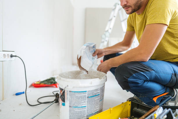 Best Mold Removal for HVAC Installations  in Meadowbrook, VA
