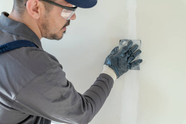 Best Mold Odor Removal Services  in Meadowbrook, VA
