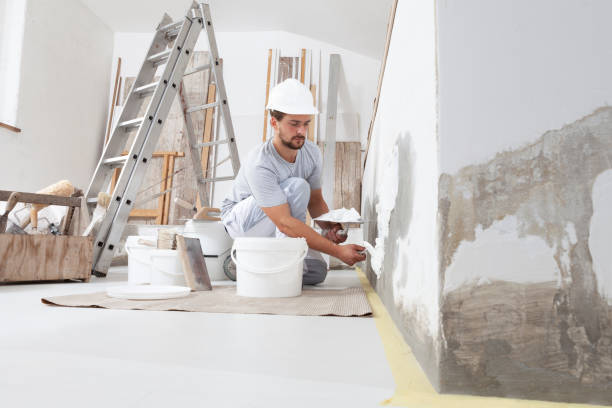 Best Mold Prevention Services  in Meadowbrook, VA