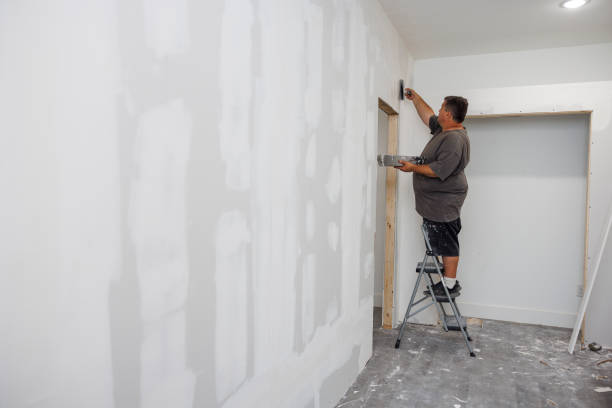 Best Air Quality Testing for Mold Spores  in Meadowbrook, VA