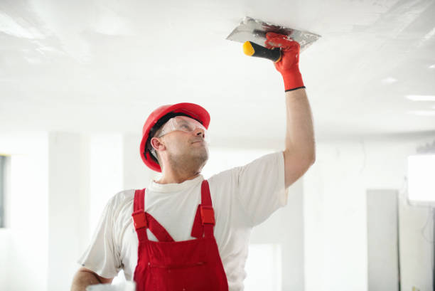 Meadowbrook, VA Mold Removal Company