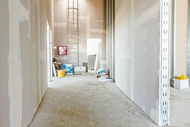 Best Biohazard Mold Removal  in Meadowbrook, VA