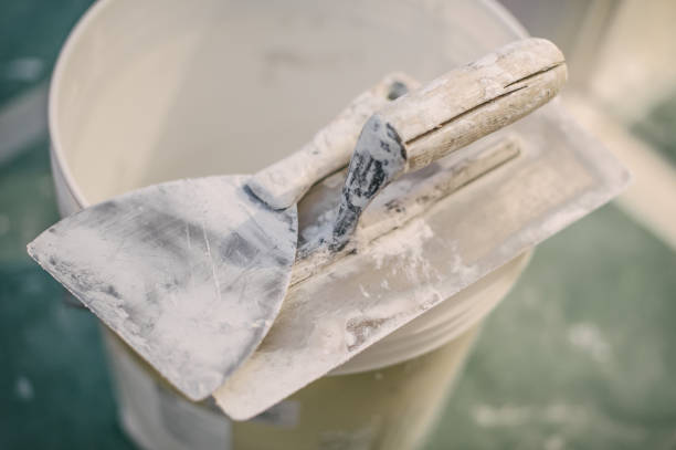 Best Black Mold Removal  in Meadowbrook, VA